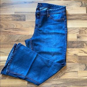 TORRID SOURCE OF WISDOM plus size bootcut jeans 22